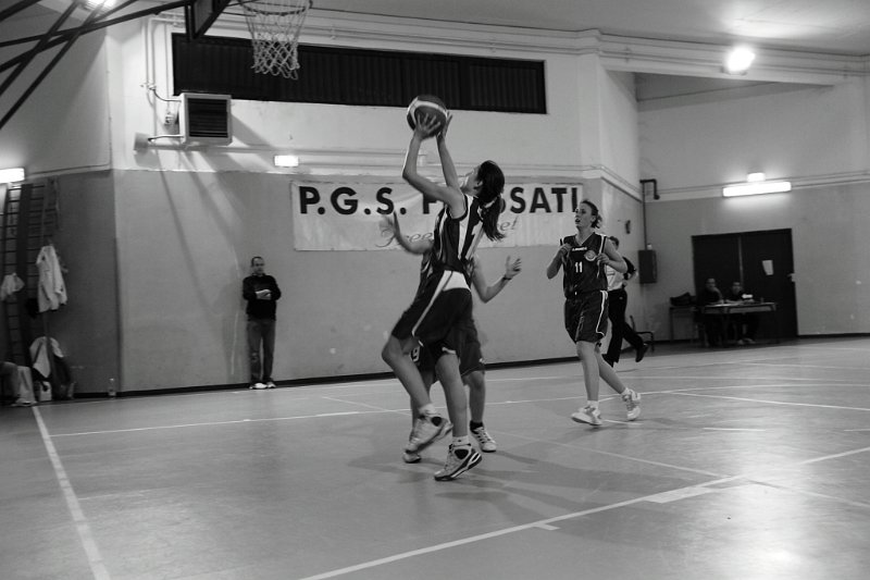 Basket 443018